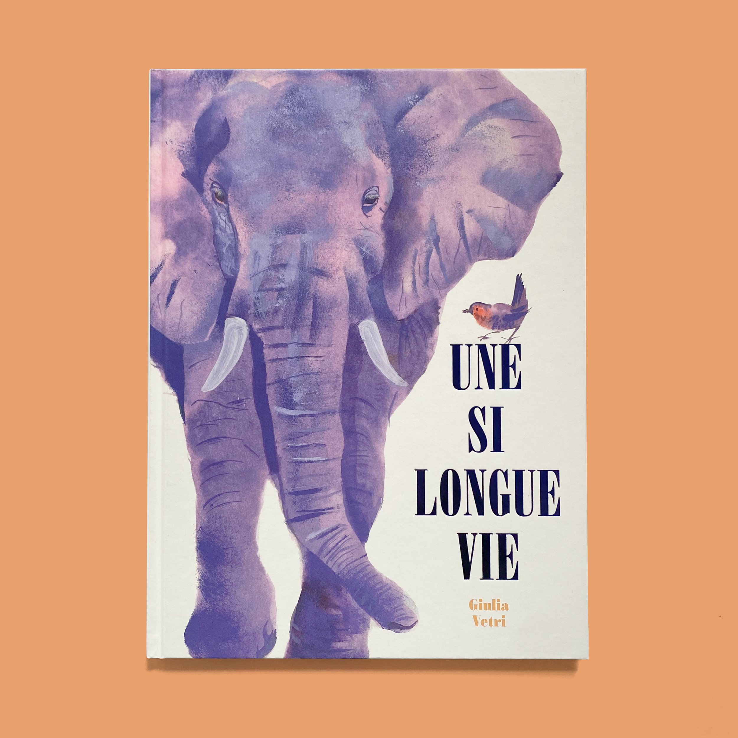 Couverture de Une si longue vie